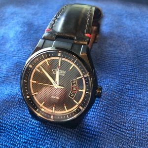 Citizen Eco-Drive Watch WR-100 Model# J810-5082803